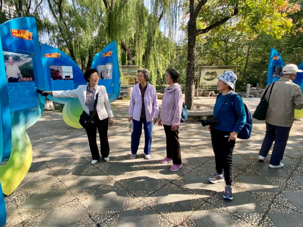 ecc6dcf15aa779c175241e788821137