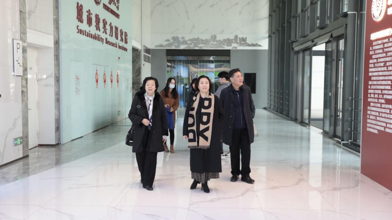 参观6